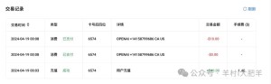 在国内如何给openai O1充值