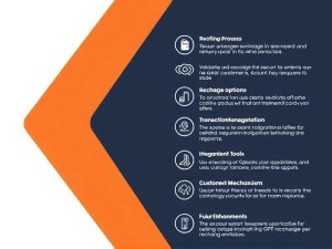 GPT充值记录全解析，从查询到管理的完整指南