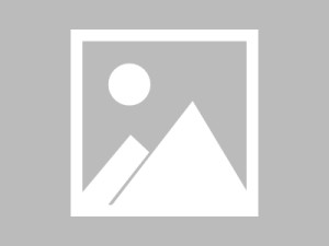 GPT的具体充值金额取决于你选择的版本和计划。以下是简要信息